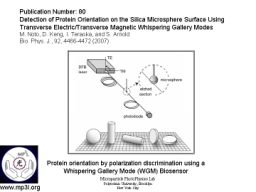Whispering Gallery Mode Biosensor 010.JPG
